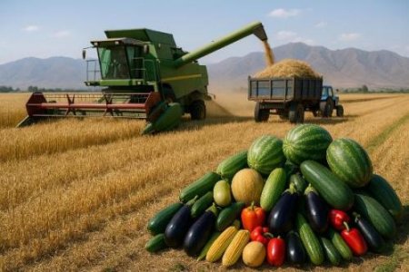 ЁВОН. БЕШ АЗ 60 ҲАЗОР ТОННА МАҲСУЛОТИ ГУНОГУН ҶАМЪОВАРӢ ШУД