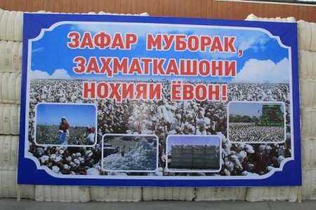 ЁВОН. НАҚШАИ ҶАМЪОВАРИИ ҲОСИЛИ ПАХТА ИҶРО ШУД