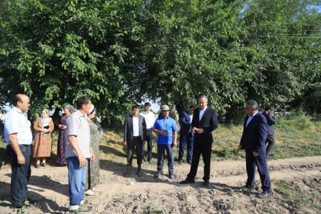 КӮШОНИЁН: БОЗДИДИ РАИСИ ВИЛОЯТ АЗ САМАРАНОК ИСТИФОДАБАРИИ ЗАМИН, ҶАМЪОВАРИИ ҲОСИЛИ КАРТОШКА ВА НАШЪУНАМОИ ПАХТА ДАР ХОҶАГИИ ДЕҲҚОНИИ «БОРБАД»